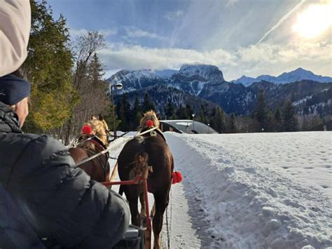 Ilustrácia Freyi v koči ťahanom mačkami