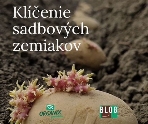 Ilustrácia rôznych druhov sadbových zemiakov