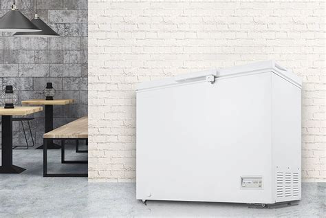 Ilustrácia mrazničky s vreckom