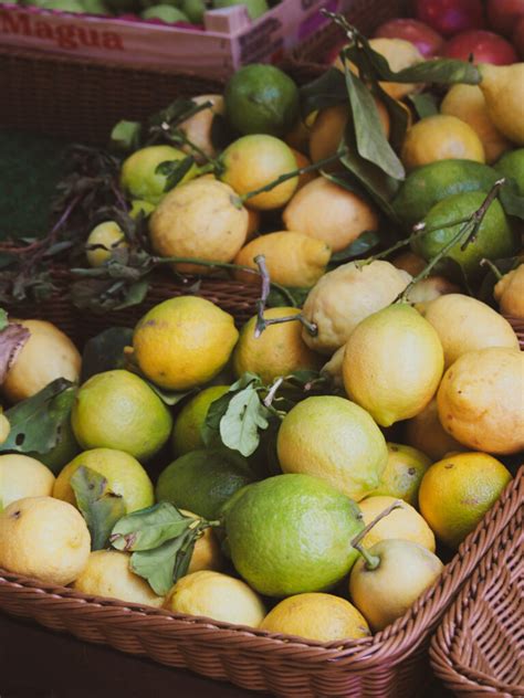 Ilustrácia rôznych druhov citrusov