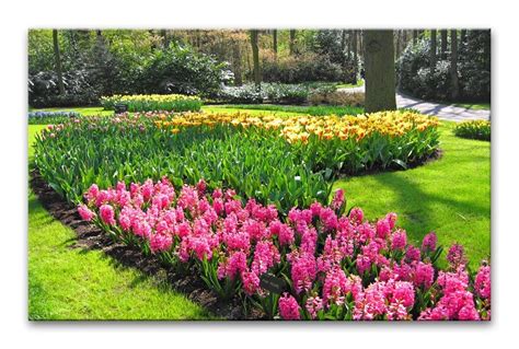 Usporiadaná záhrada s kvetmi