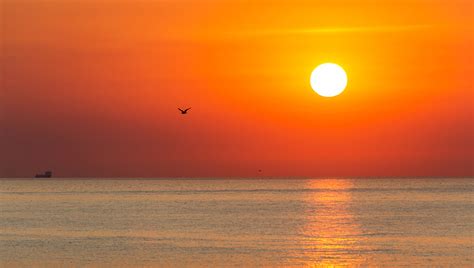 Lev s hrivou žiariacou ako slnko