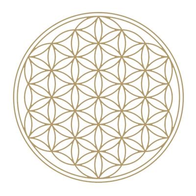 Kvet života ako komplexný symbol posvätnej geometrie