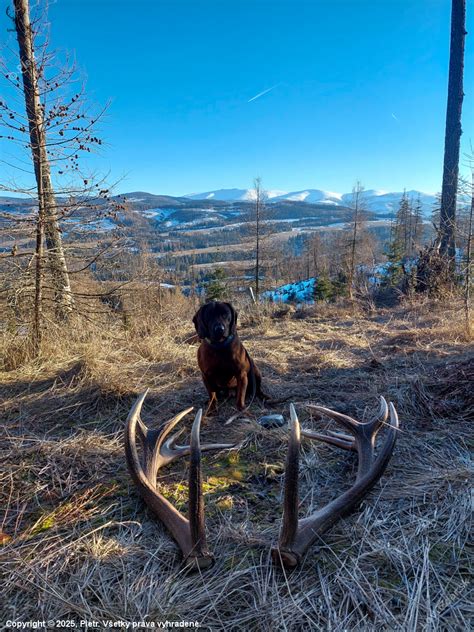 Archívna fotografia zobrazujúca partizánov