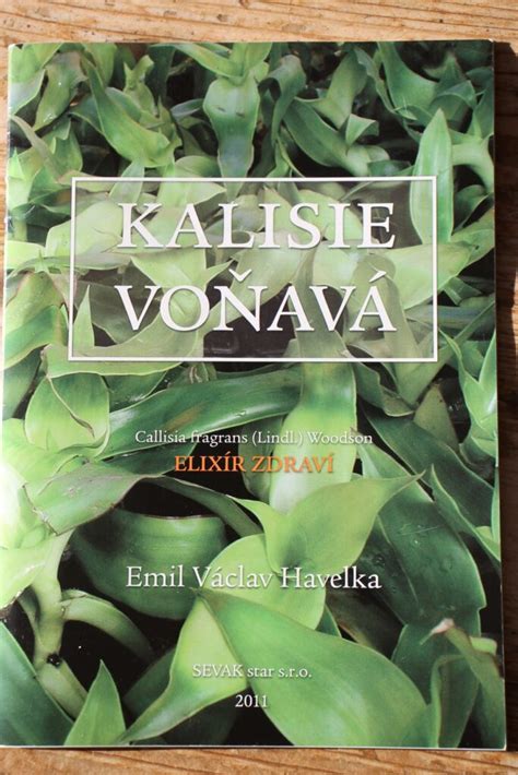 Emil Václav Havelka portrét