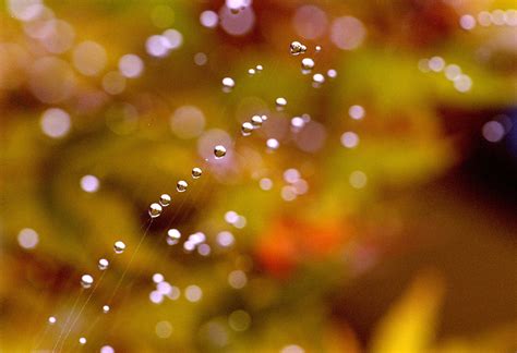 Dva rôzne svety: Strelec a Býk