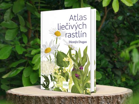 Ilustrácia liečivých bylín rastúcich na lúke