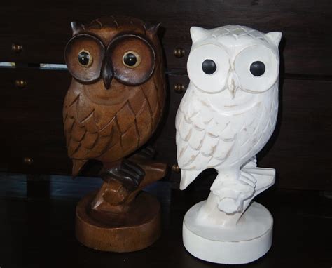 Sova sediaca na konári