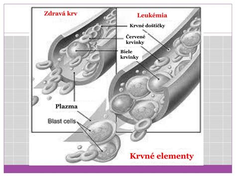 Obrázok znázorňujúci zdravú životosprávu a rovnováhu
