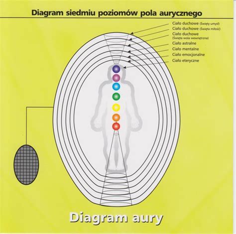 Diagram aury človeka