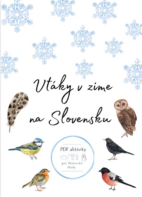 Rašelinisko v zime s vtákmi