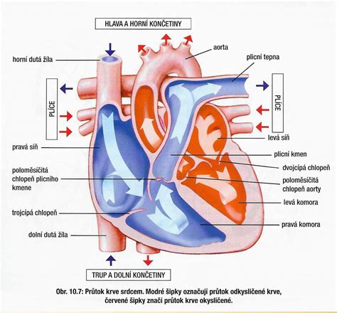 symbol križa a srdca