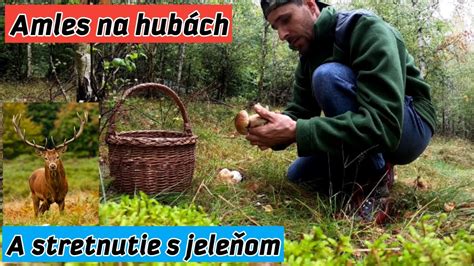 Artemis premení Aktaióna na jeleňa