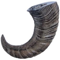 Symbolické rohy Barana