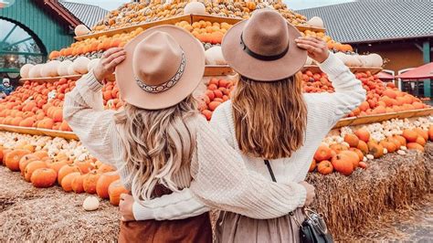 Ilustrácia znázorňujúca priateľstvo medzi rôznymi znameniami