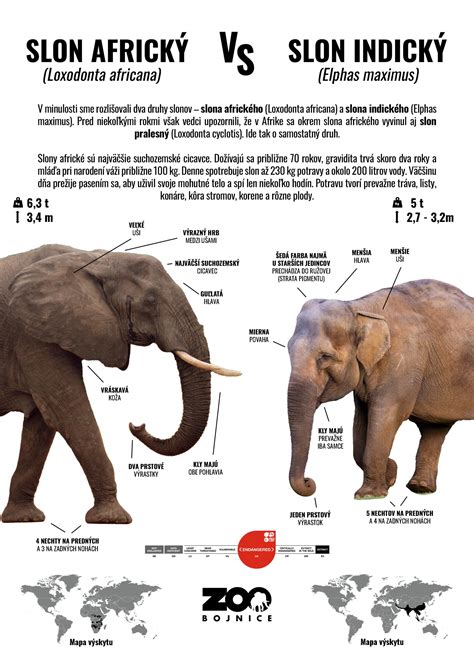Symbolický rozdiel medzi amuletom a talizmanom