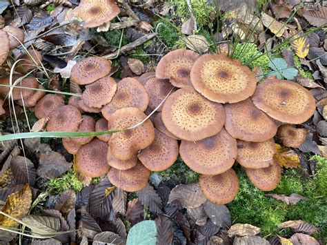 Portrét kňaza Ľuboša Václavka