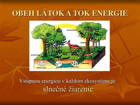 Ilustrácia symbolizujúca tok energie v dome