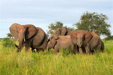 Archeologická expedícia v Keni