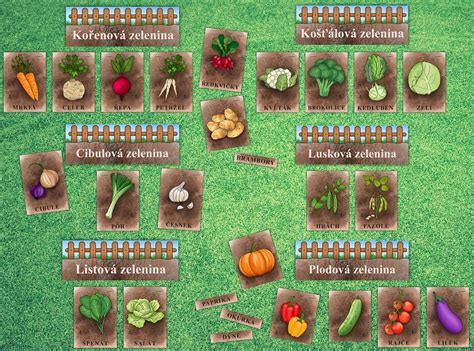Rôzne druhy zeleniny vysievané do pareniska