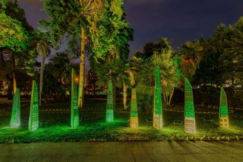 Ilustrácia symbolizujúca transformáciu a silu