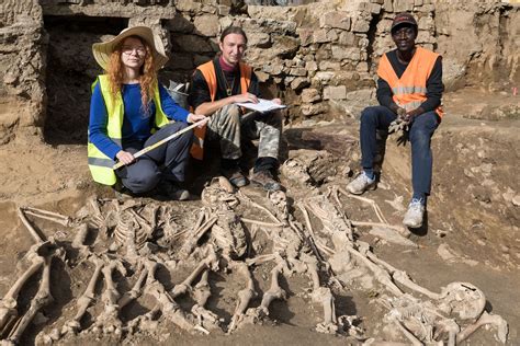 Archeologické vykopávky kostí