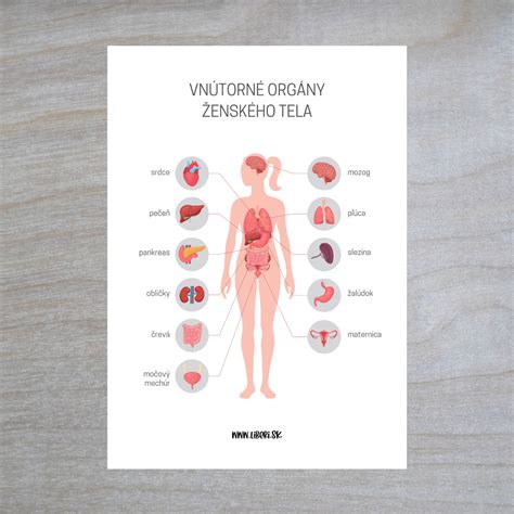 Ľudské telo ako anténa prijímajúca signály