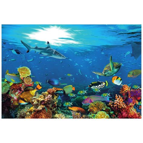 Podvodný svet s rybkami