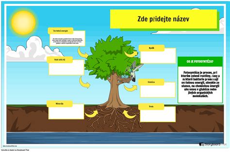 Infografika znázorňujúca rastúci strom ako symbol kariérneho rastu