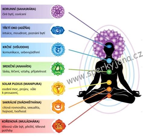 Infografika znázorňujúca jednotlivé čakry, ich prvky, farby a zodpovedajúce orgány