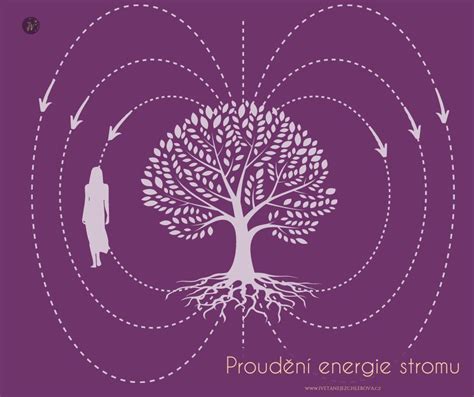 Objímanie stromu pre načerpanie energie
