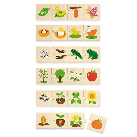 Ilustrácia rôznych symbolov Afrodity vrátane zvierat a rastlín