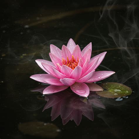 Ilustrácia oka a symbolu lotosu