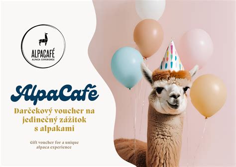 Osoba prijímajúca Reiki terapiu, s rukami terapeuta položenými na rôznych častiach tela