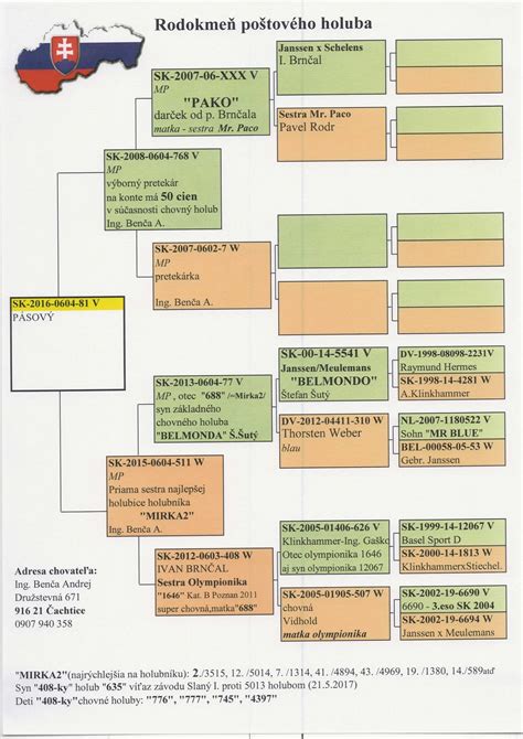Ilustrácia starého receptu na prípravu holuba