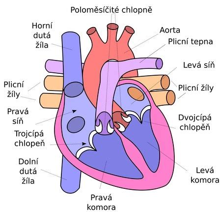 Ilustrácia srdca s prasklinami, z ktorých vyteká svetlo