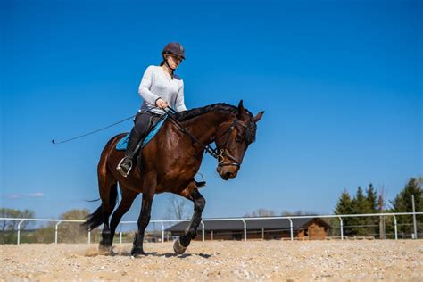 Skýtsky jazdec s lukom