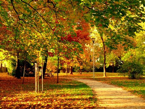 Jeseň v parku s farebnými listami