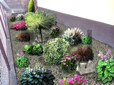 Predzáhradka s kvetmi