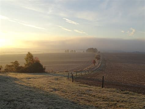 Kľukatá záhradná cestička