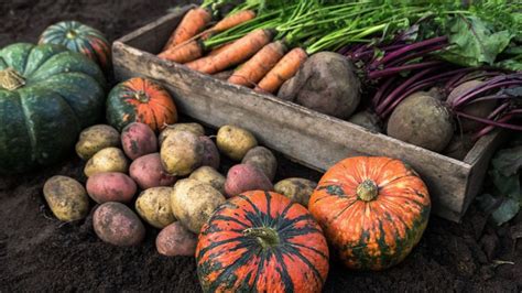 Jesenná úroda s tekvicami a bylinkami