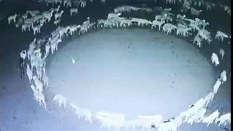 Ľudia v kruhu pri sviečkach