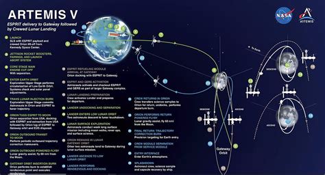 Artemis v sprievode nýmf a psov v lese