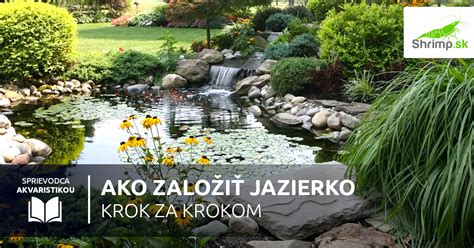 Záhradné jazierko so zákalenou vodou plnou rias