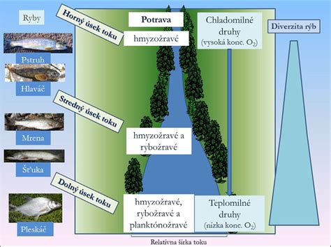 Symbolické zobrazenie spojenia Raka a Rýb ako dvoch vodných prvkov
