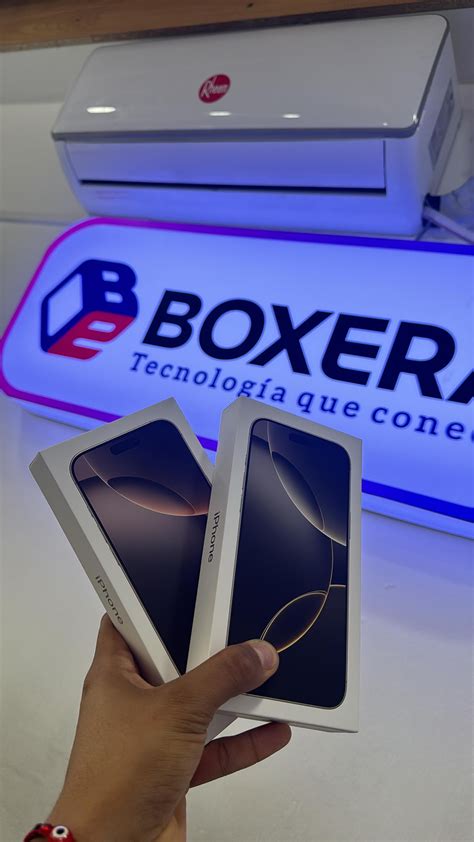 stará fotografia boxera