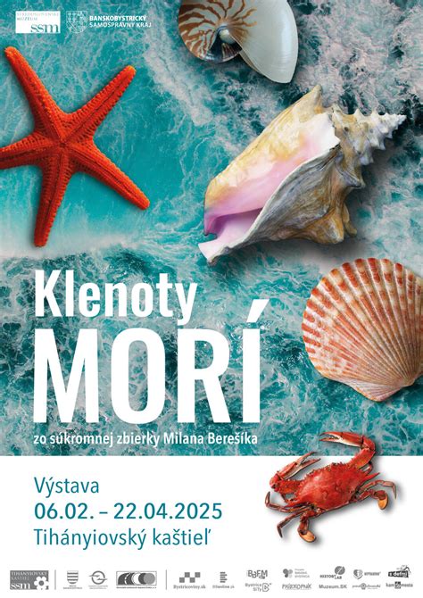 Plagát k výstave Mariny Abramović