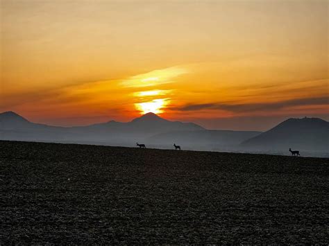 Ilustrácia muža ustielajúceho posteľ s východom slnka v pozadí