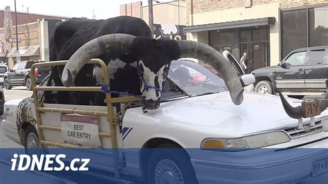 Dospievajúci Býk s knihou a slúchadlami