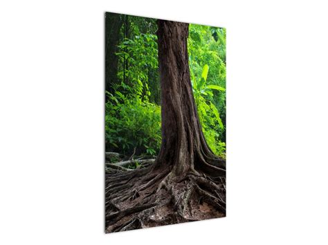 Obraz stromu s hlbokými koreňmi